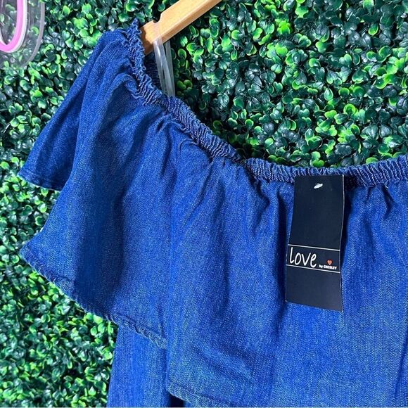 NWT Ruffle Blue Denim Jean Love by Chelsey Dress Sz 3X - Picture 3 of 6